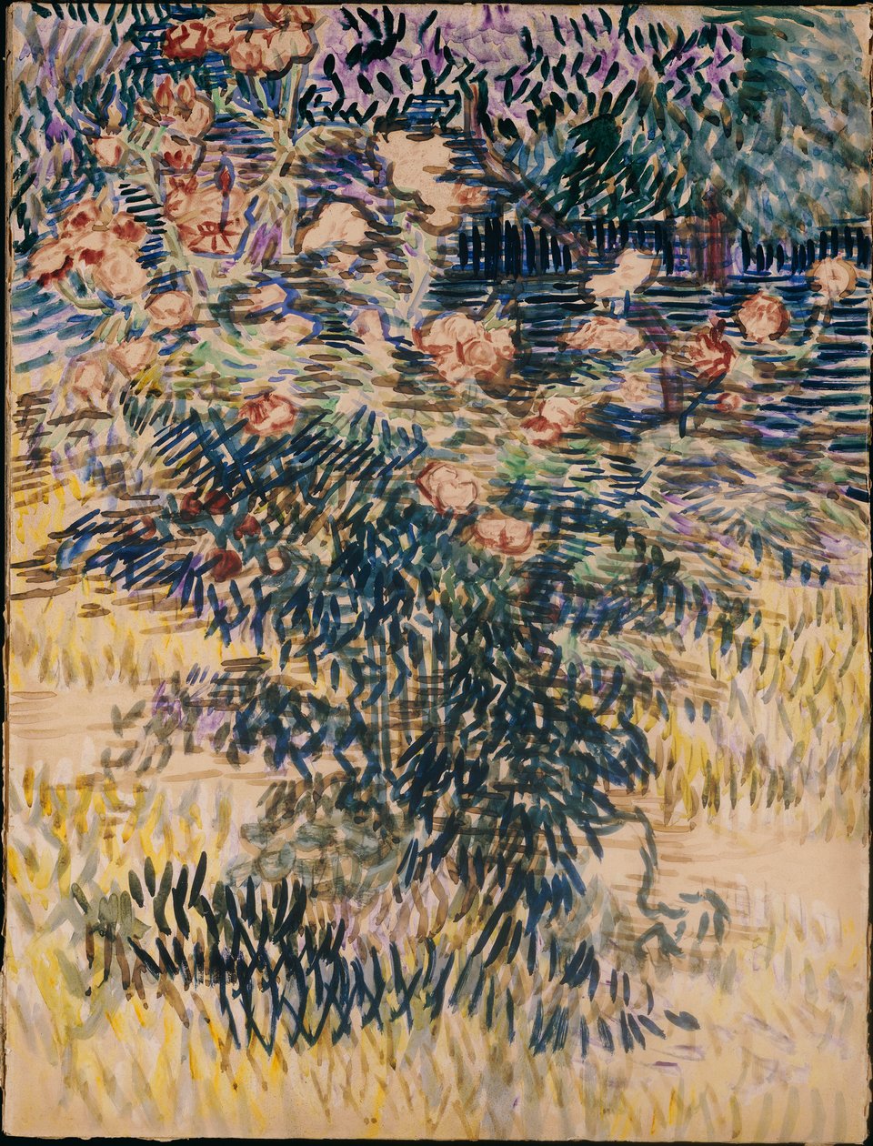 Oleanders, Saint-Remy