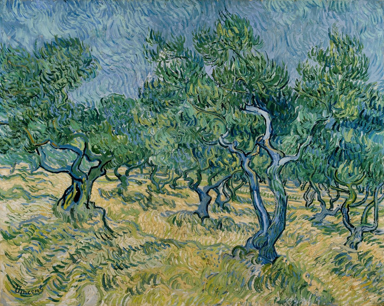 Zeytinlik by Vincent van Gogh