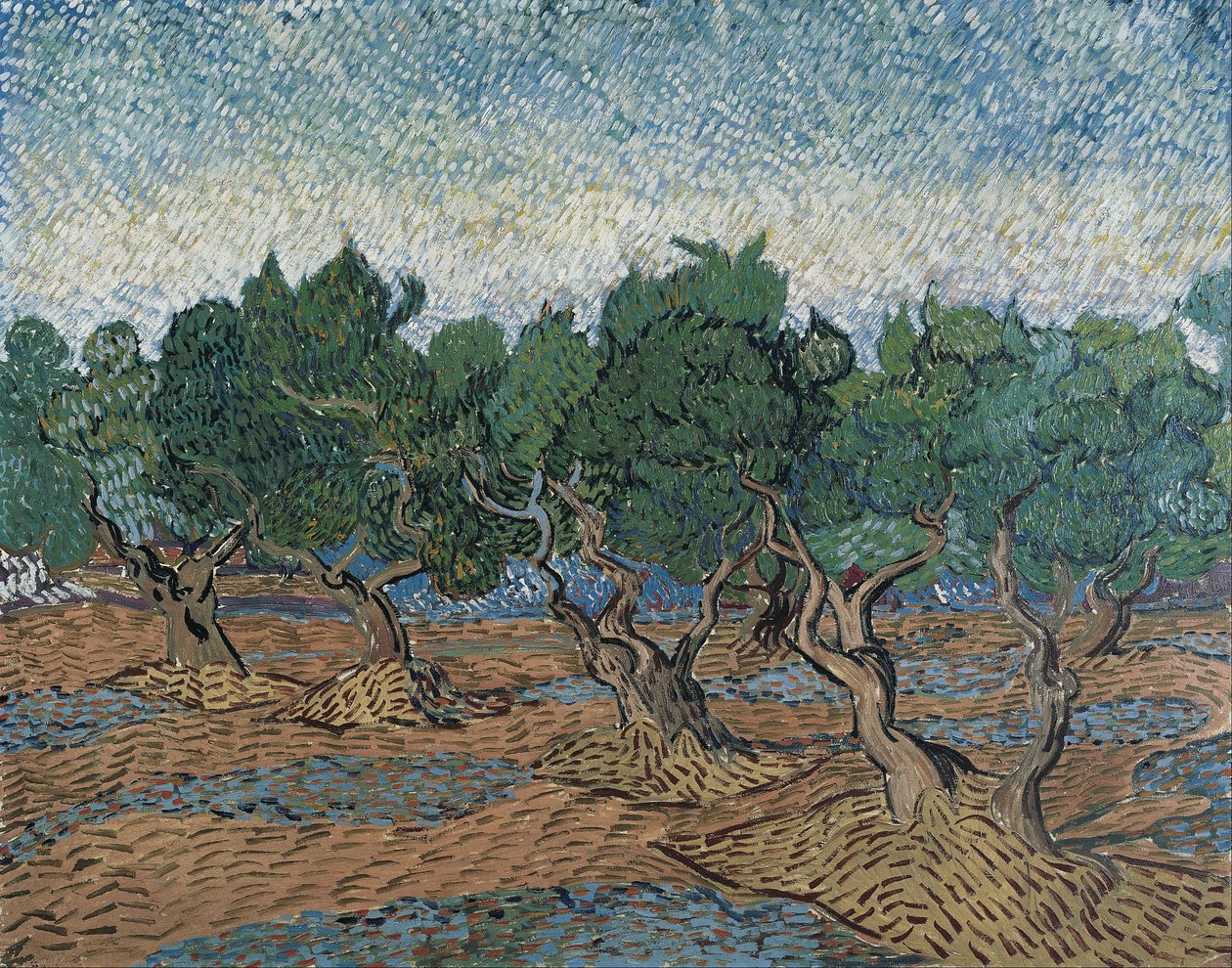 Zeytinlik by Vincent van Gogh