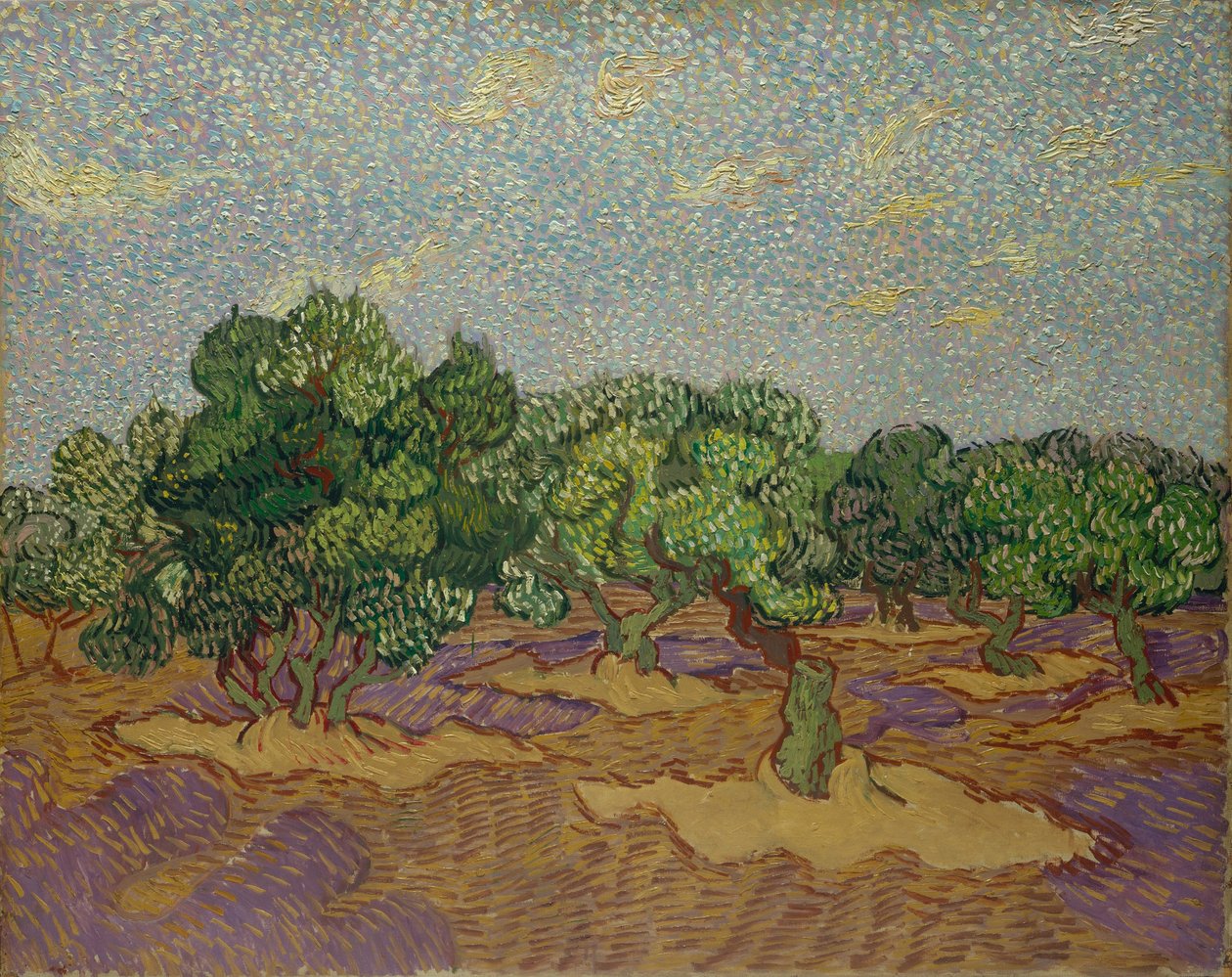 Zeytin ağaçları by Vincent van Gogh