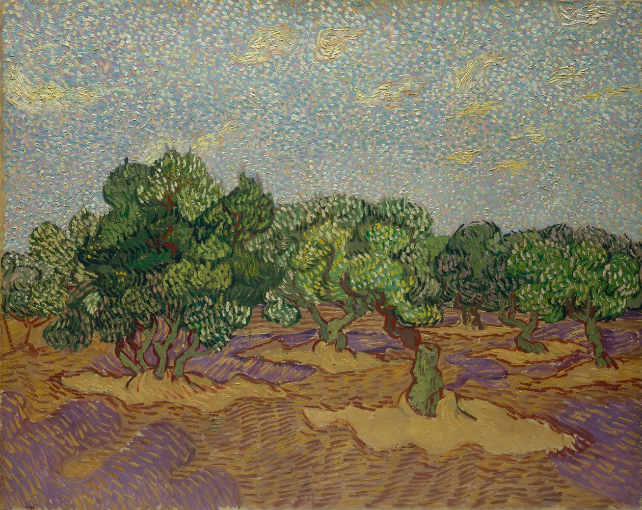 Zeytin Ağaçları, 1889. by Vincent van Gogh