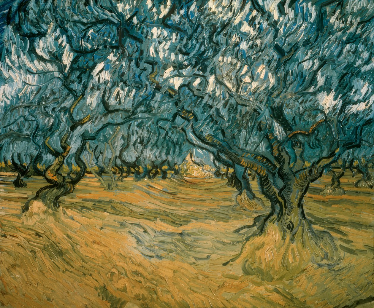 Zeytin ağaçları by Vincent van Gogh