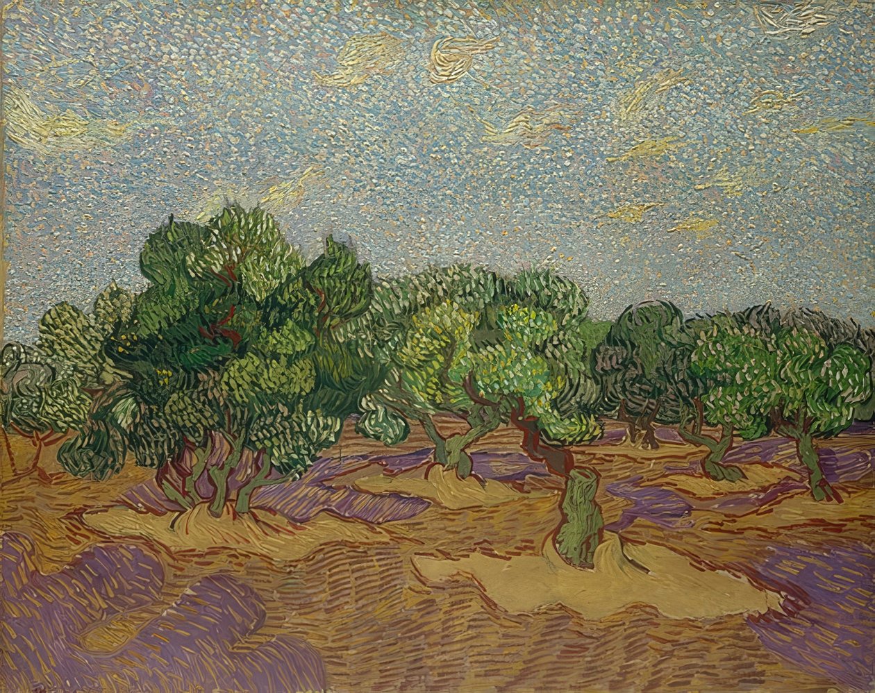 Zeytin ağaçları. 1889 by Vincent van Gogh