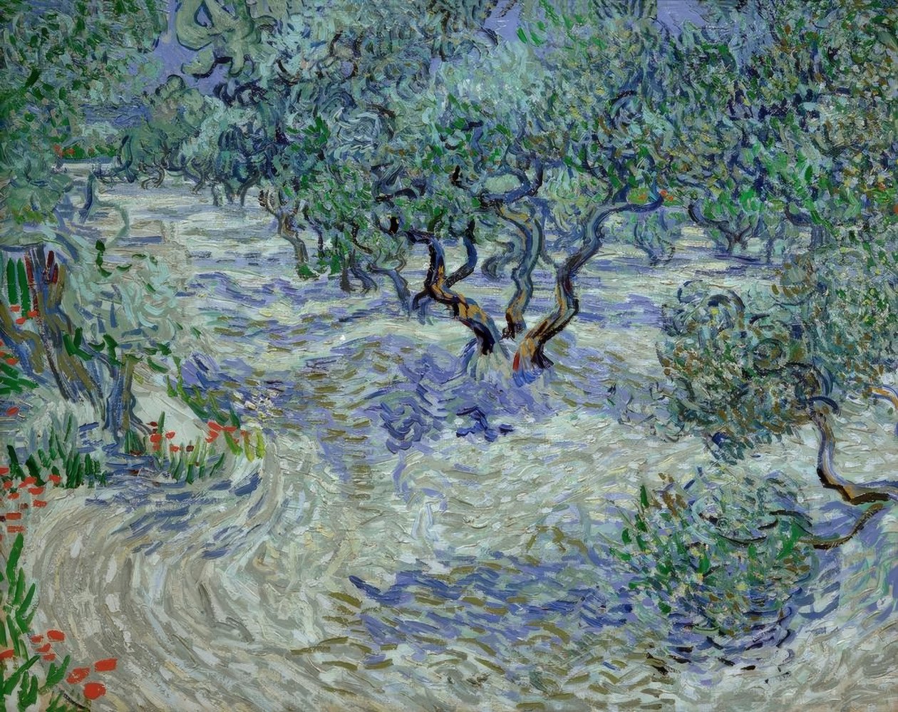 Olivenhain by Vincent van Gogh