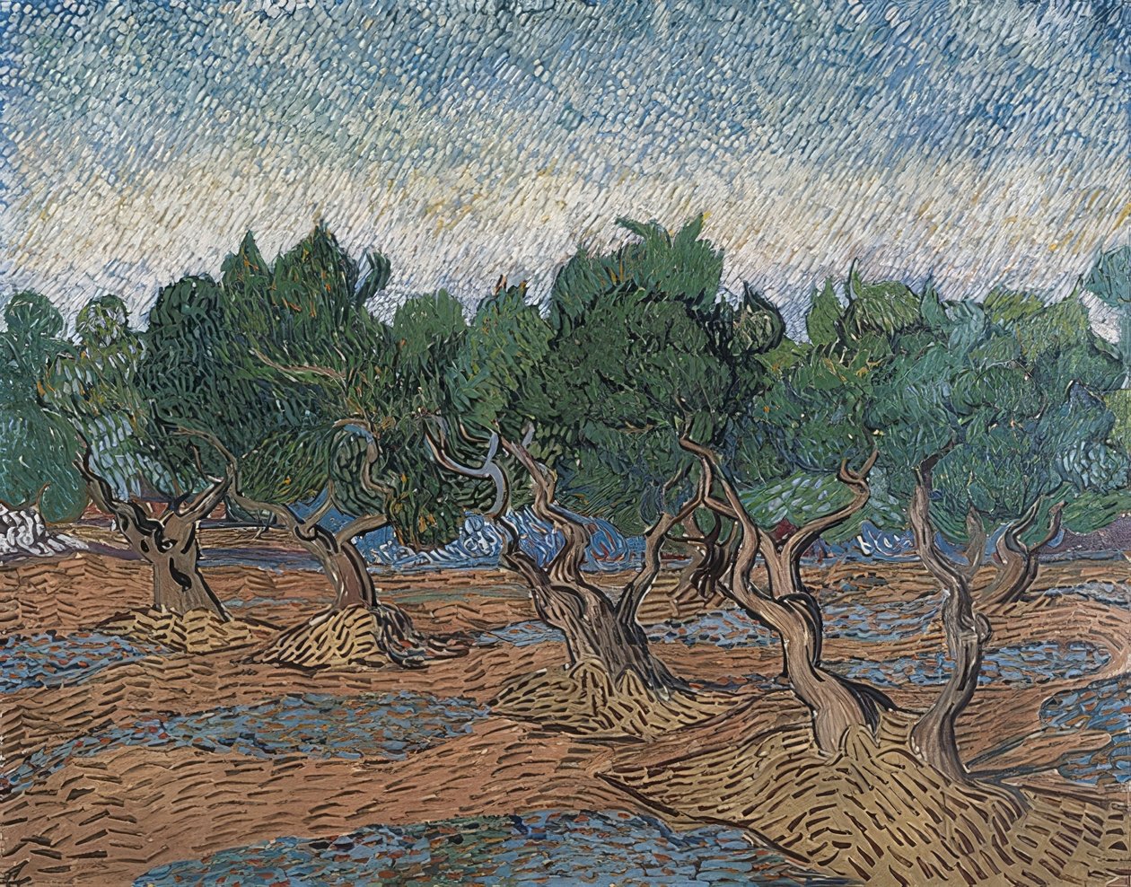 Zeytinlik. 1889 by Vincent van Gogh