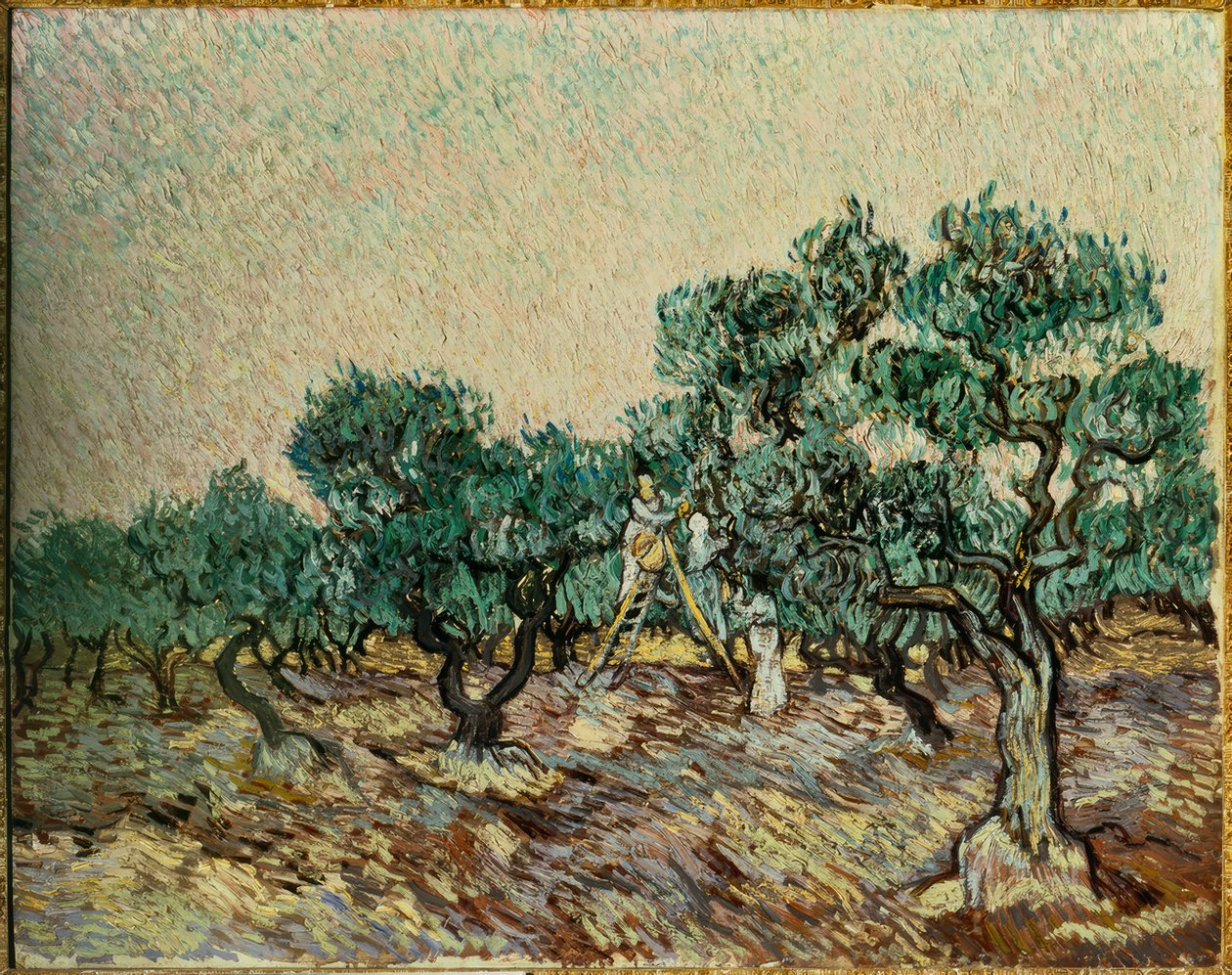 Zeytin toplayıcıları by Vincent van Gogh