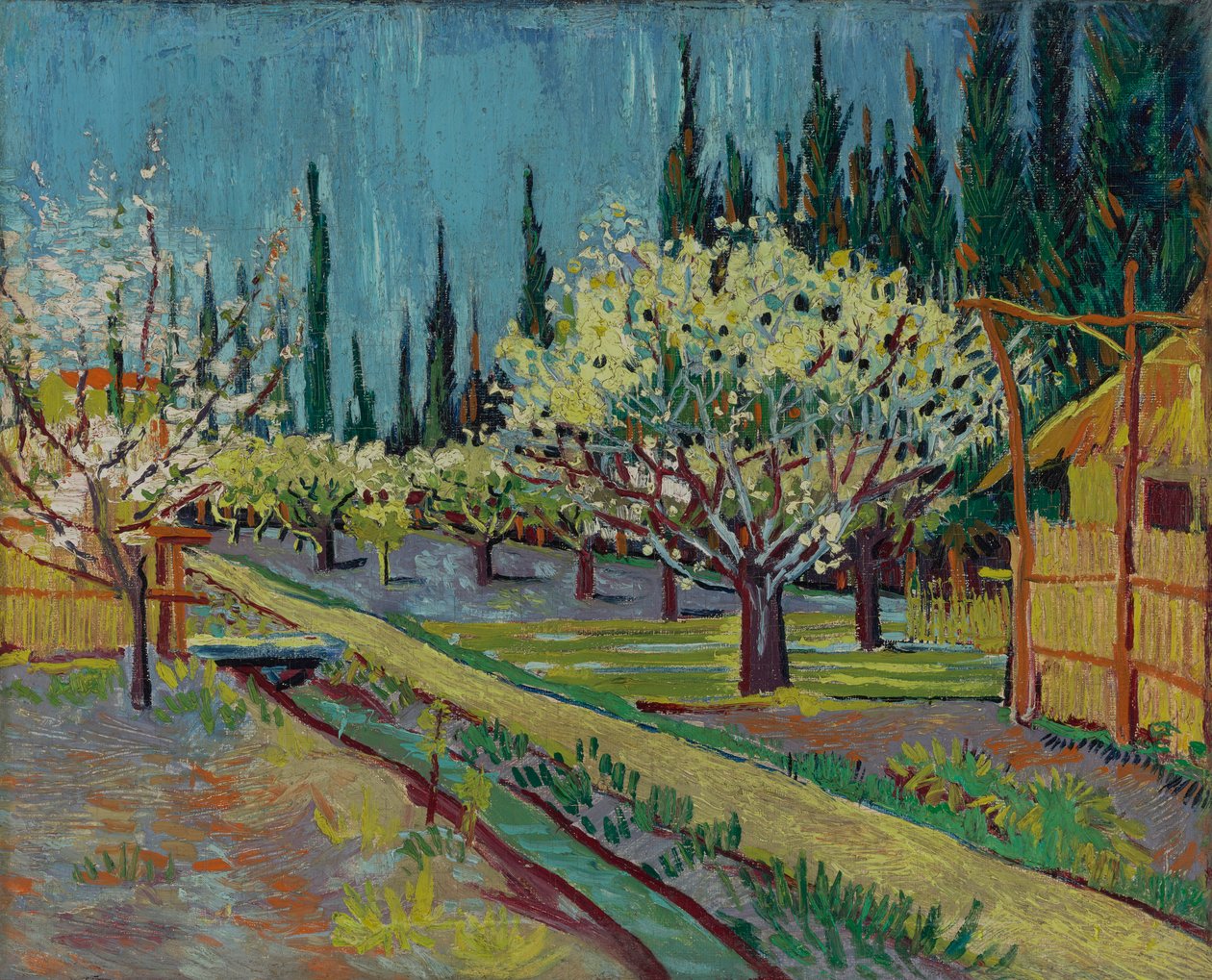 Selvilerle çevrili meyve bahçesi by Vincent van Gogh