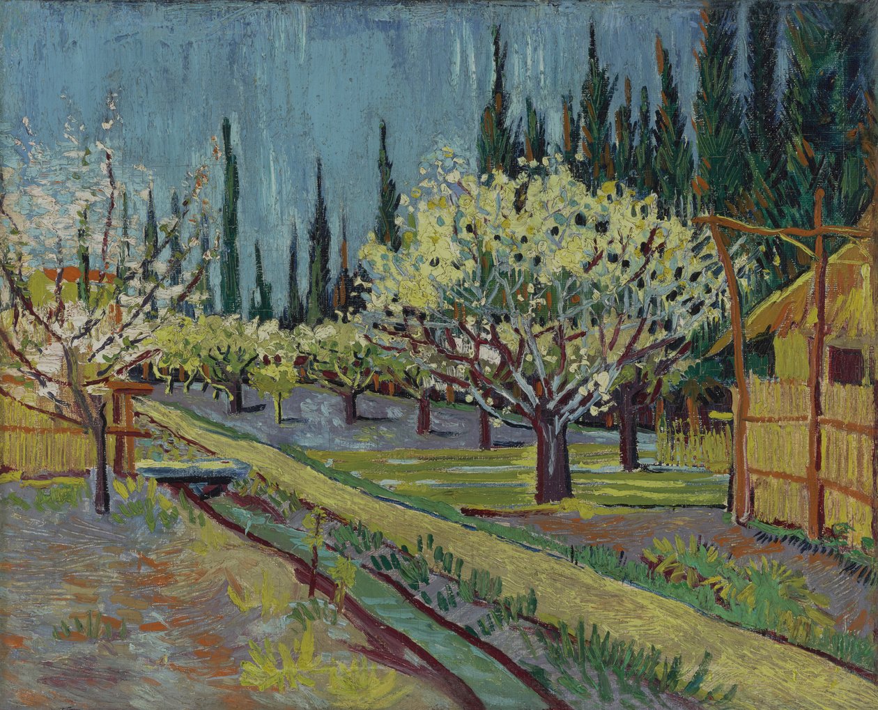 Selvilerle çevrili meyve bahçesi by Vincent van Gogh