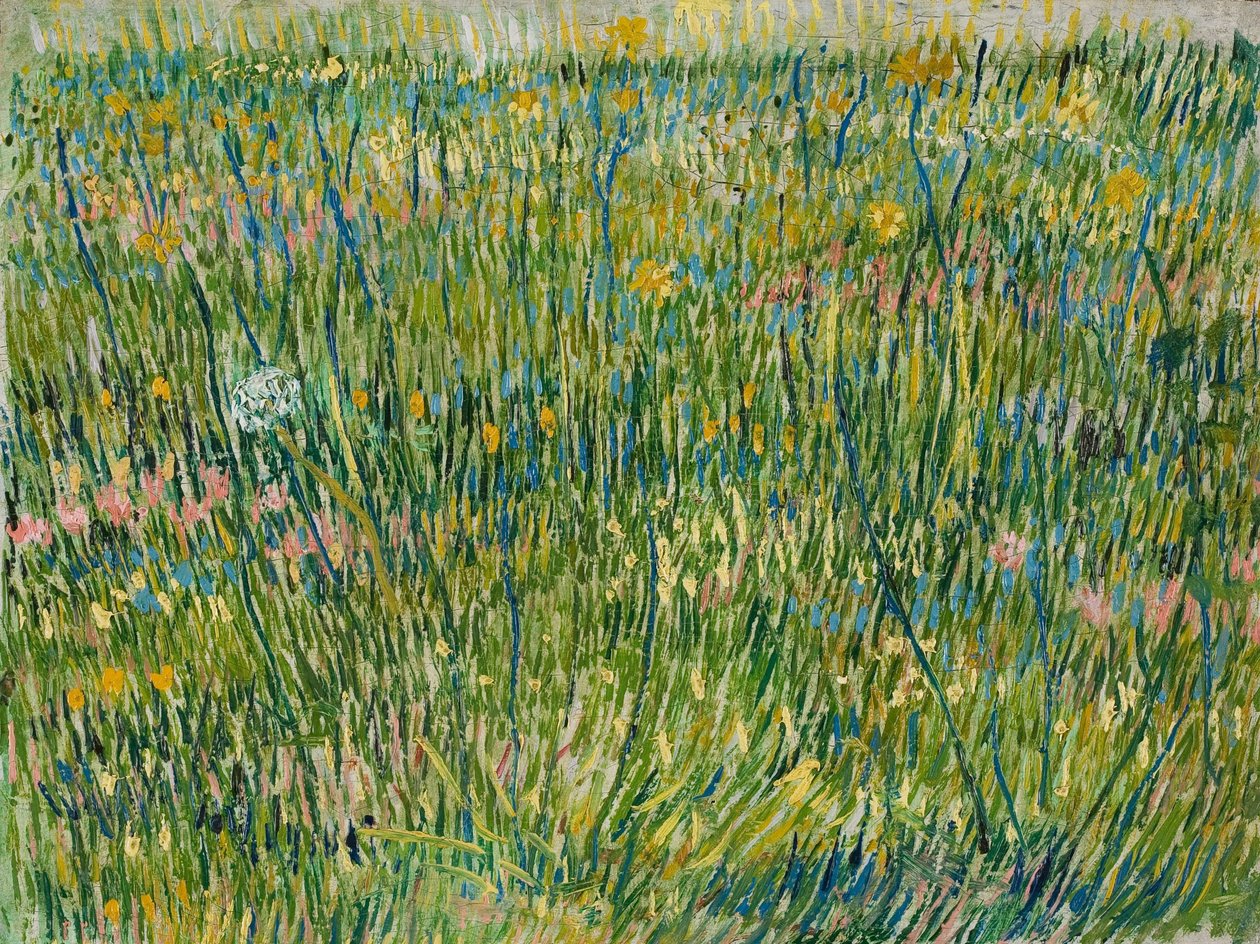 Çim Yaması, Nisan-Haziran 1887 (tuval üzerine yağlı boya) by Vincent van Gogh