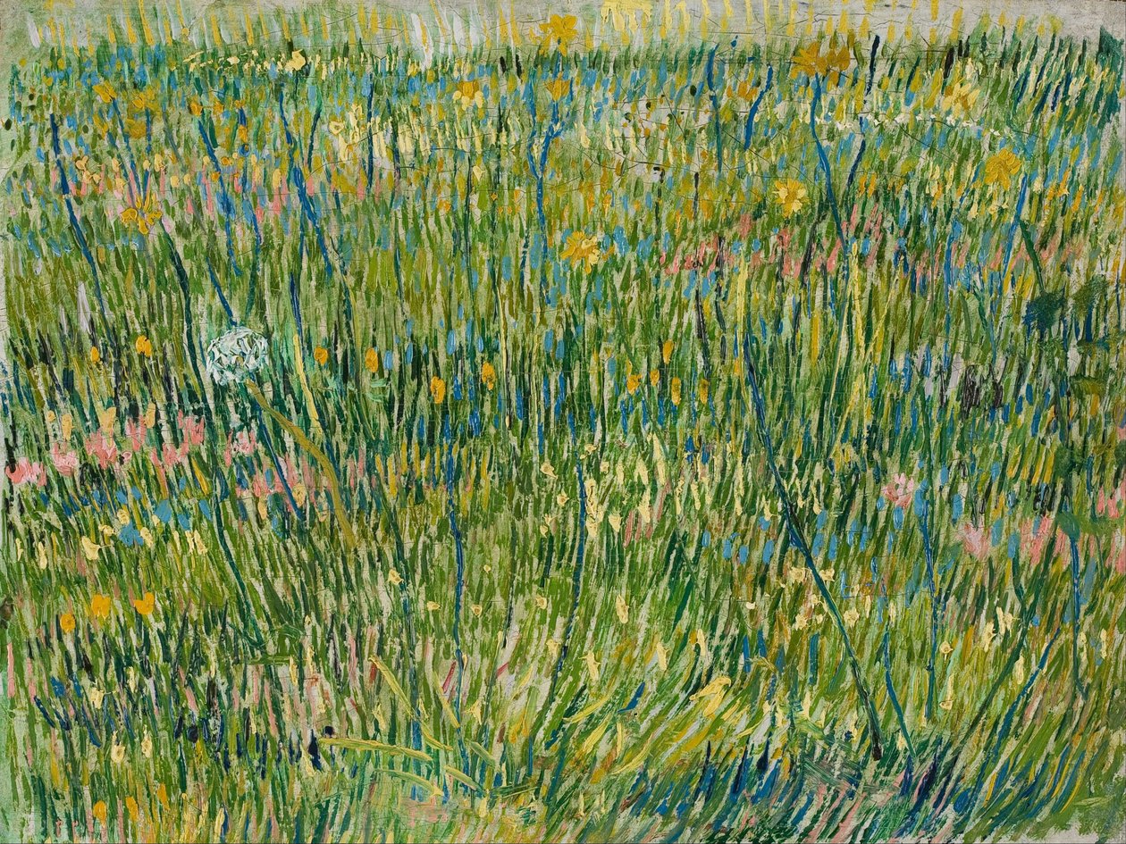 çim yama by Vincent van Gogh