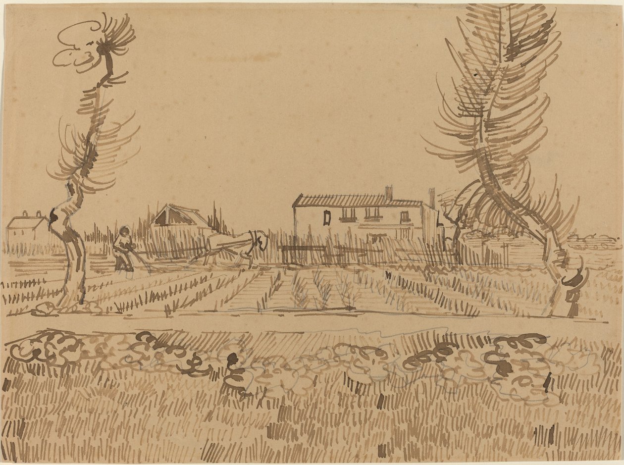Arles yakınlarındaki Tarlalarda Pullukçu by Vincent van Gogh