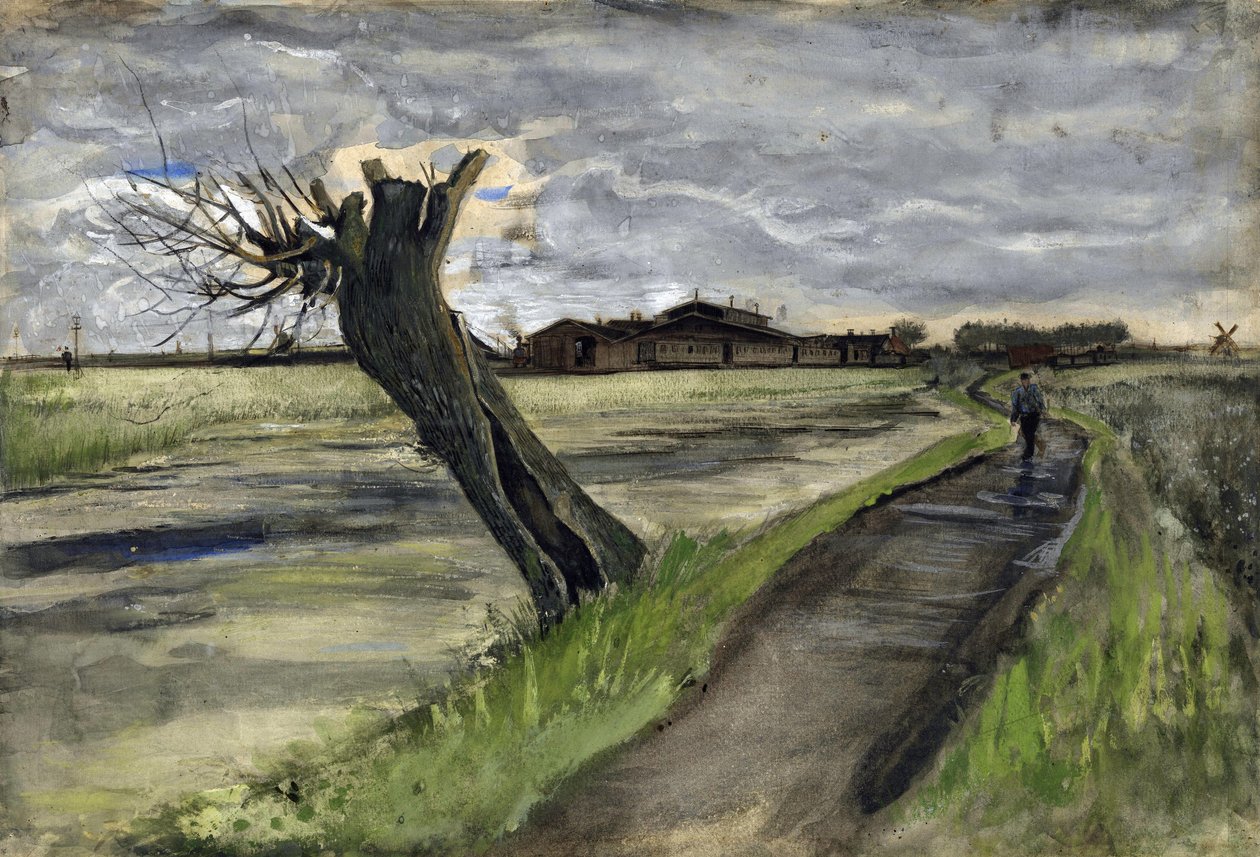 Pollard Willow (saule tetard) par Gogh, Vincent, van (1853-1890). Kurşun kalem, sulu boya, Guaj, kağıt üzerine mürekkep, boyut : 38x55,8 by Vincent van Gogh
