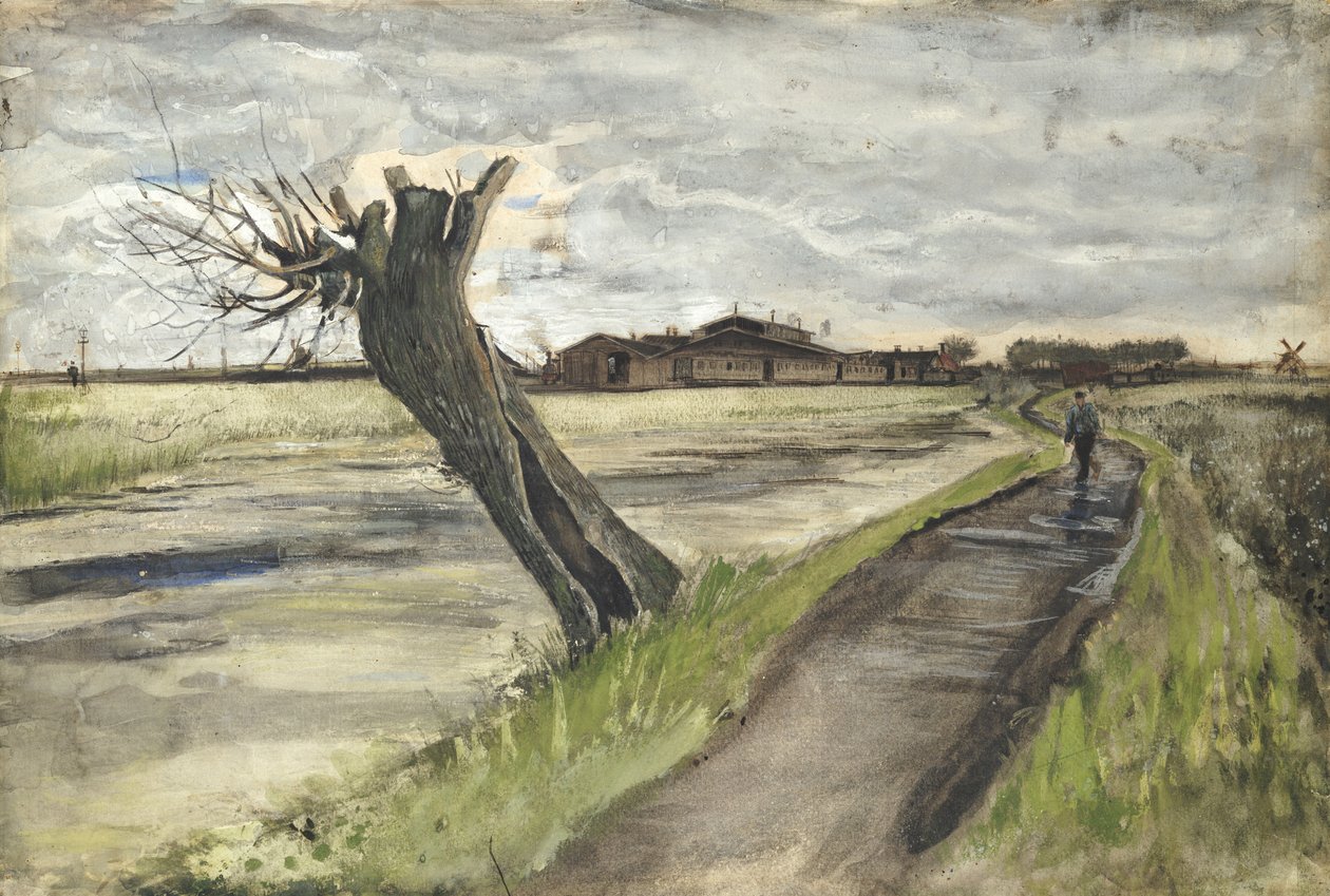 Pollard Söğüt, 1882 by Vincent van Gogh