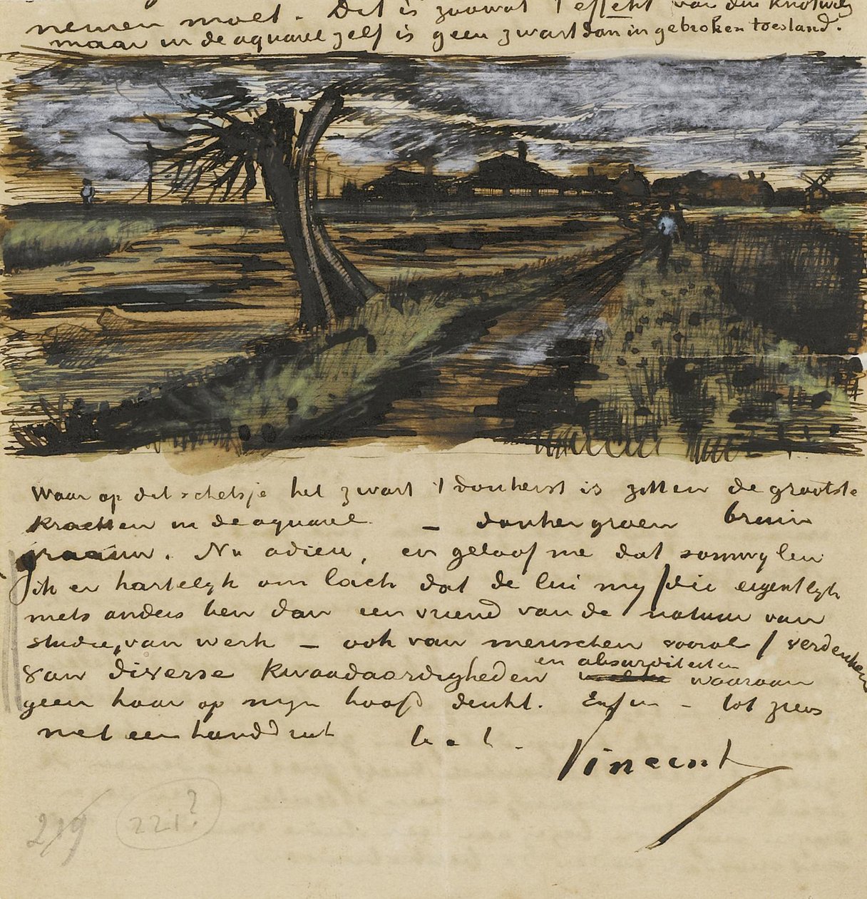 Pollard Willown (saule tetard). Theo van Gogh