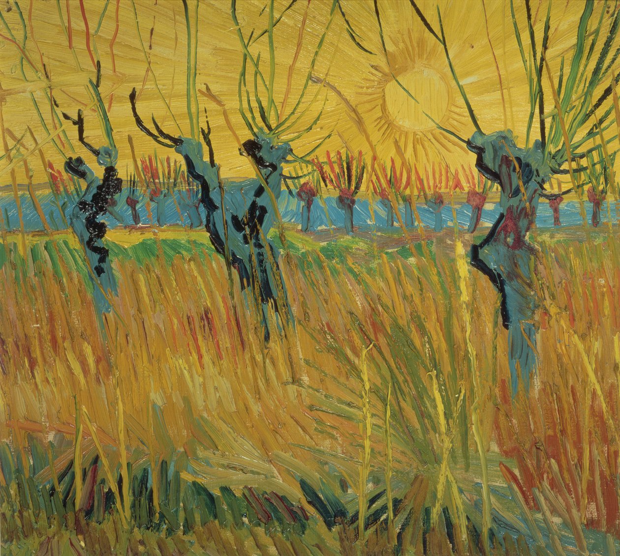 Pollarded Söğütler ve Batan Güneş by Vincent van Gogh
