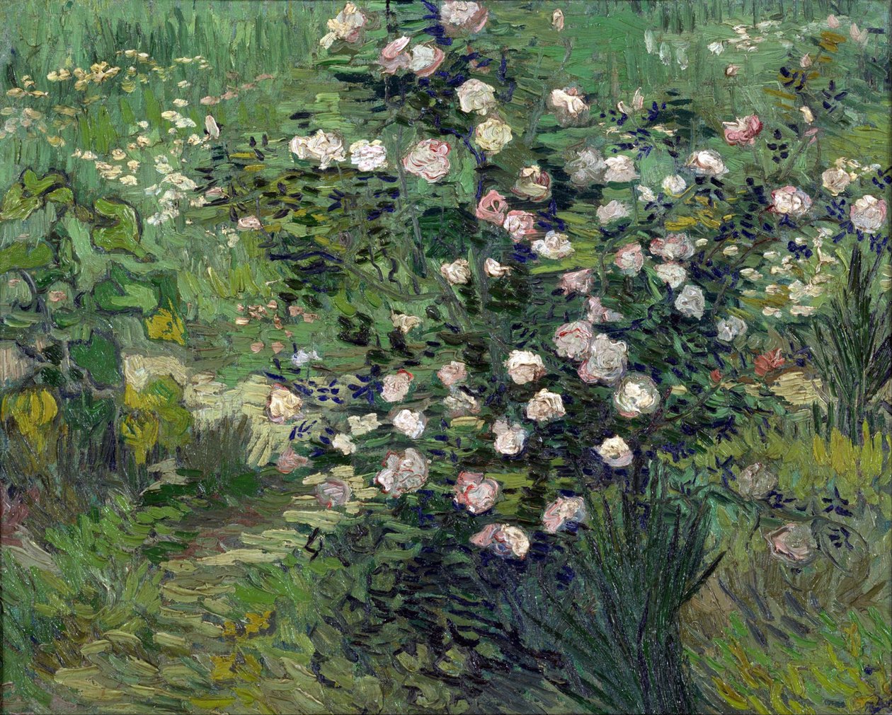""Güller"" Peinture de Vincent van Gogh (1853-1890) 1889 Ulusal Batı Sanatı Müzesi, Tokyo, Japon by Vincent van Gogh