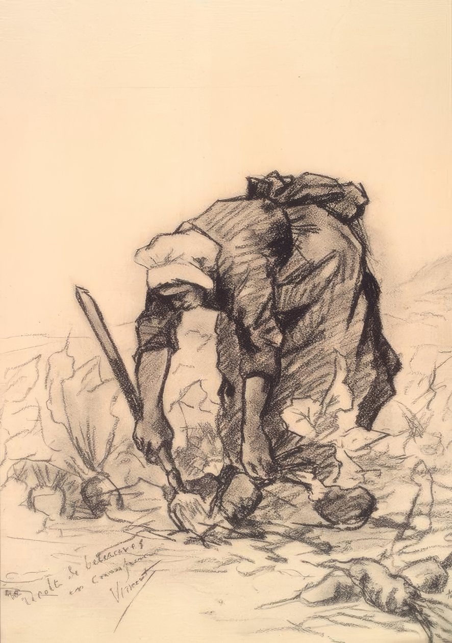 pancar kesici by Vincent van Gogh