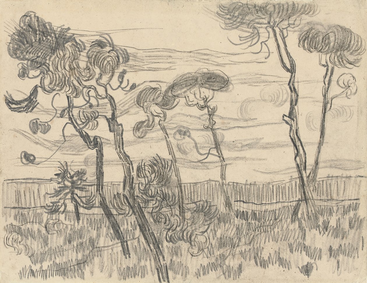 Muhafaza Duvarı Yakınındaki Altı Çam, 1899 by Vincent van Gogh
