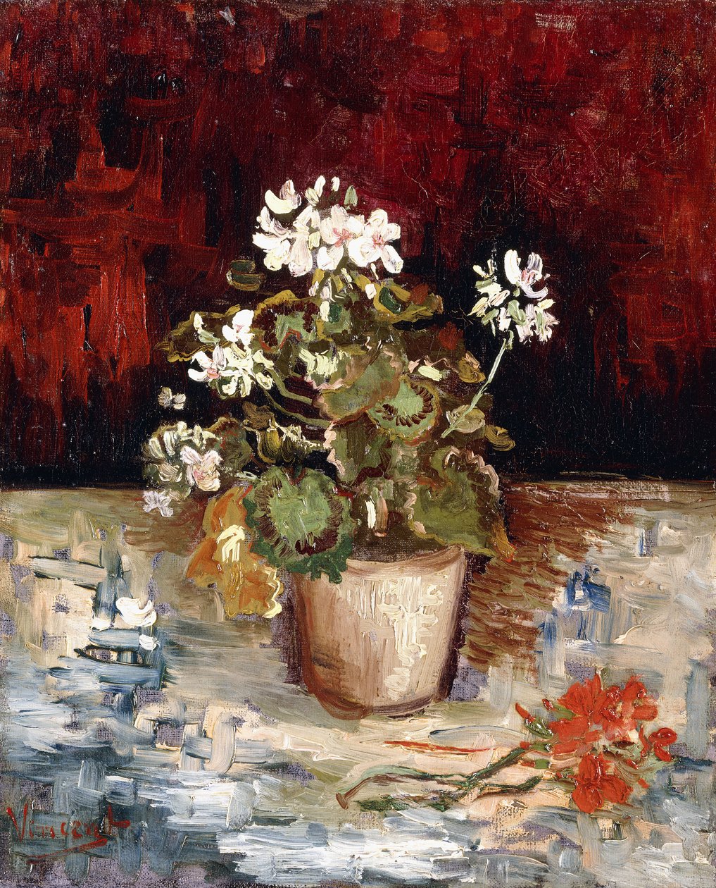 Natürmort Sardunya Potu, 1886 by Vincent van Gogh