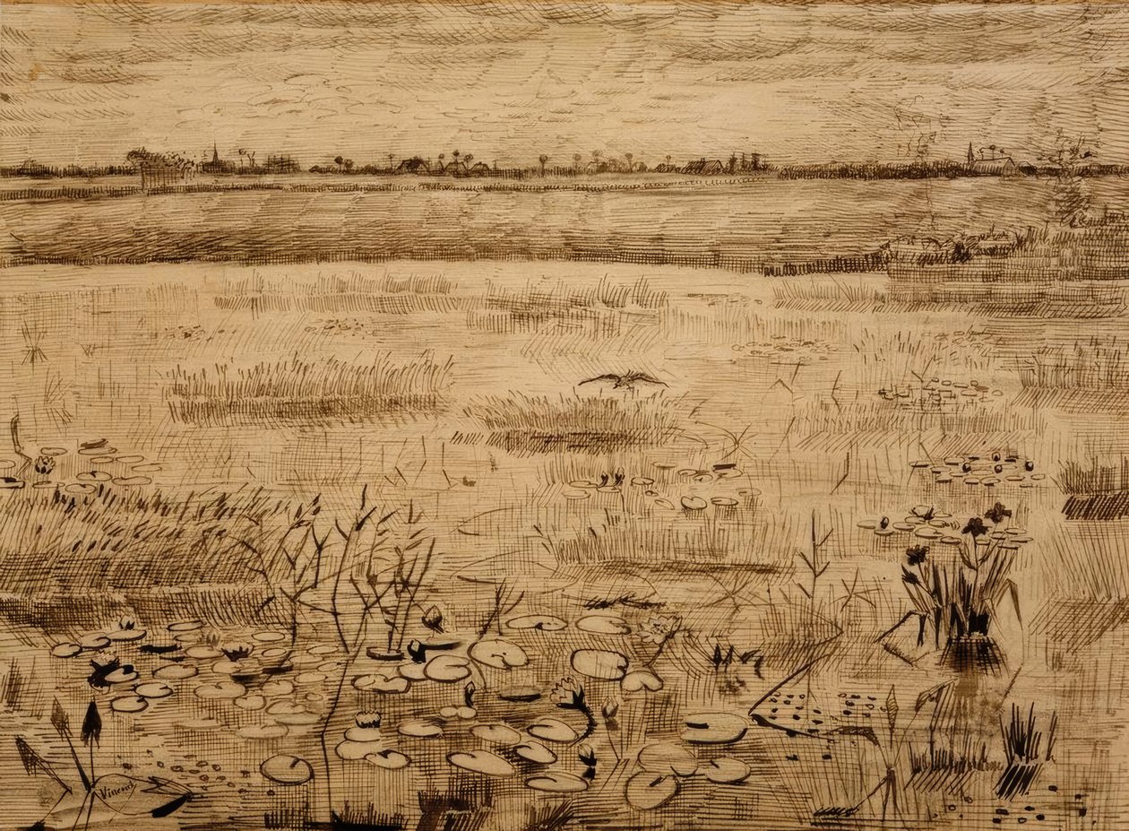 Nilüferler ile bataklık manzara by Vincent van Gogh