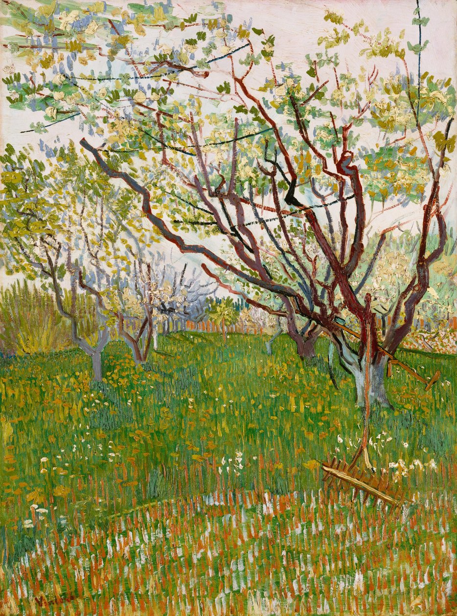 Çiçekli Bahçe by Vincent van Gogh
