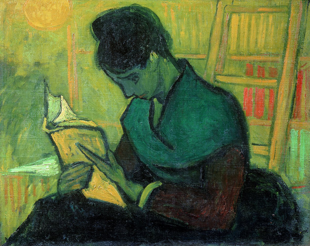 Roman Okuyucu, 1888 by Vincent van Gogh