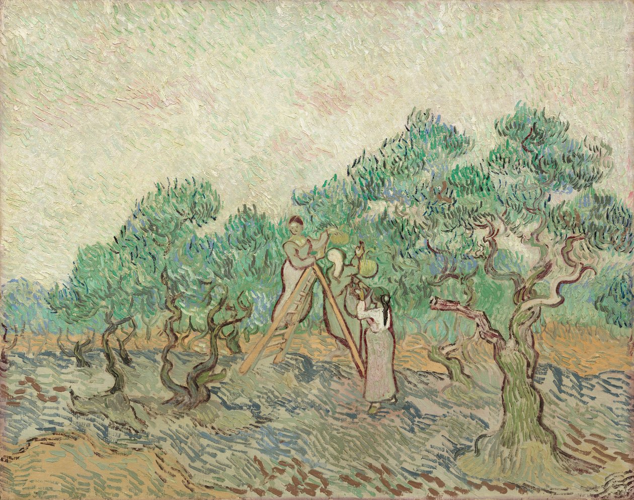 Zeytin Bahçesi by Vincent van Gogh