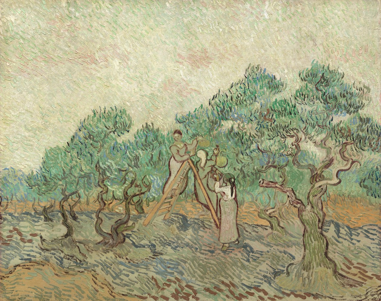 Zeytin Bahçesi, 1889 by Vincent van Gogh