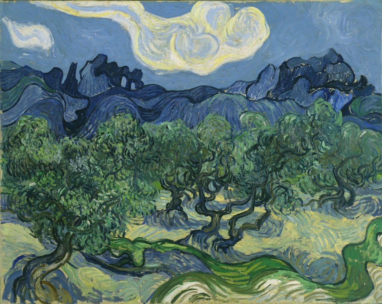 Zeytin Ağaçları by Vincent van Gogh