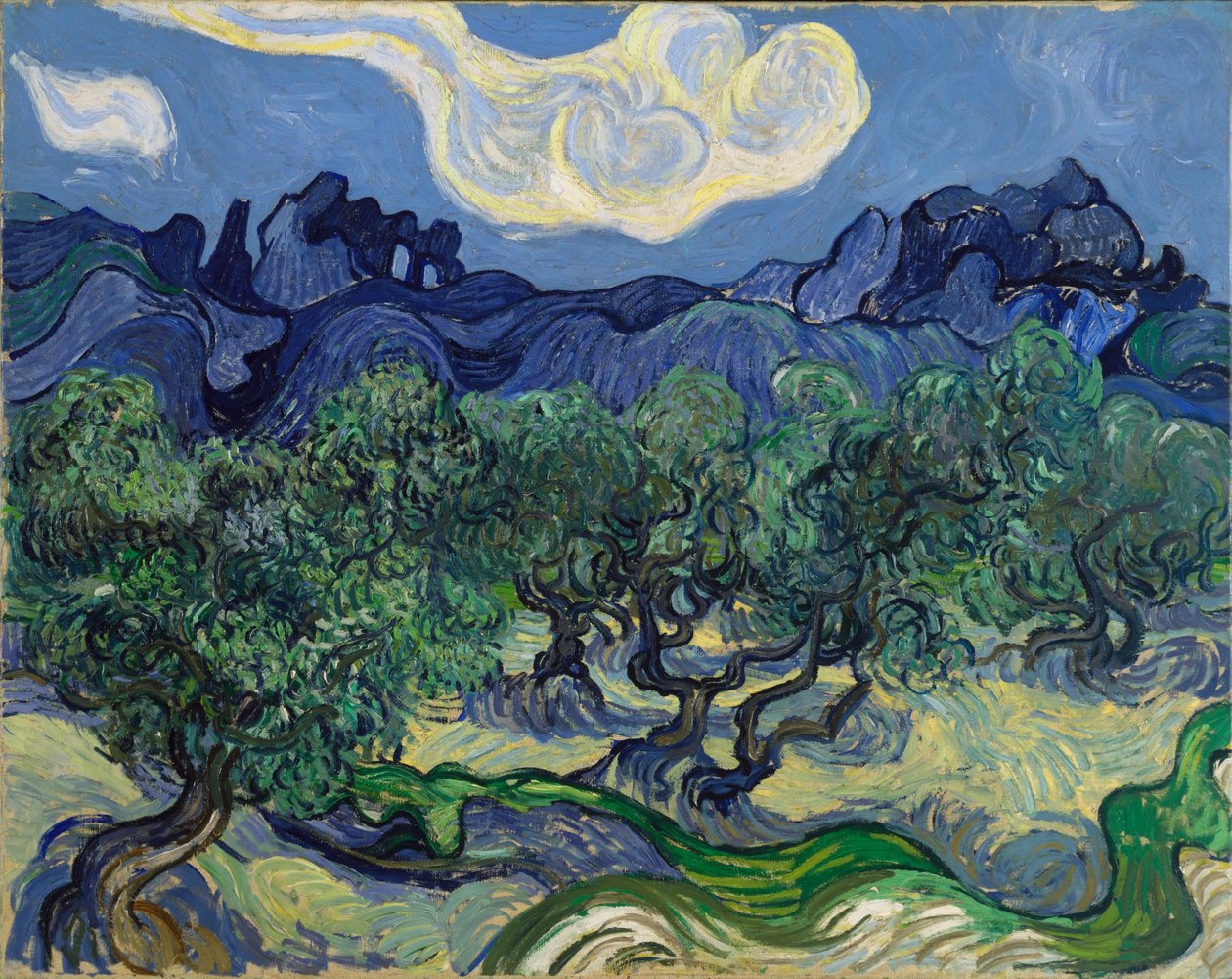 Zeytin Ağaçları by Vincent van Gogh