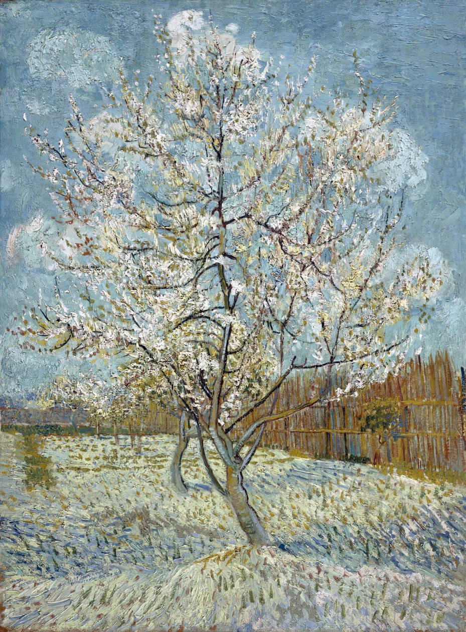 Pembe Şeftali Ağacı by Vincent van Gogh
