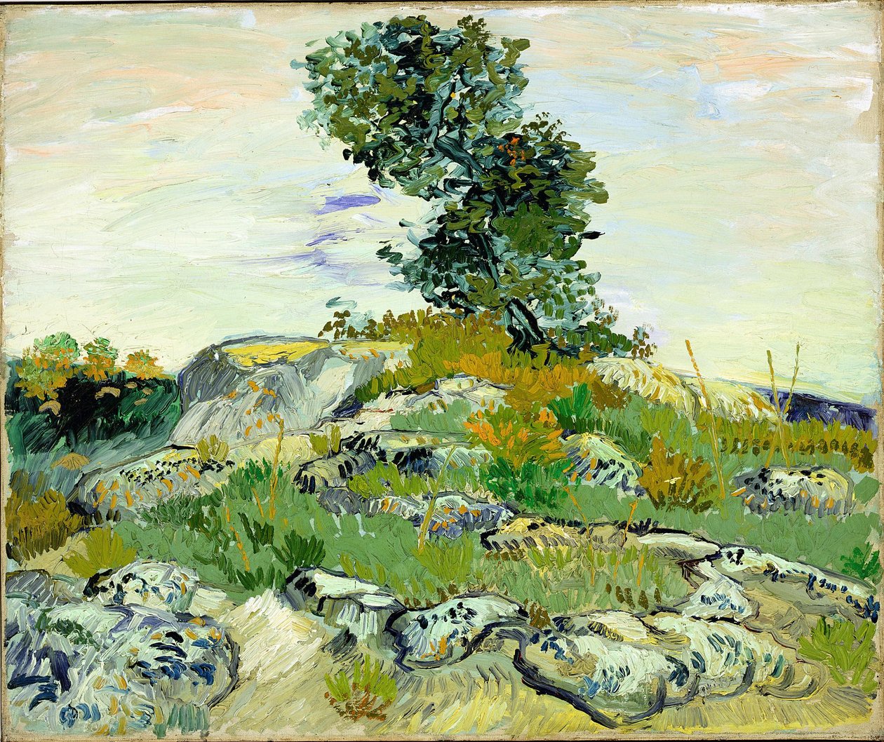  by Vincent van Gogh