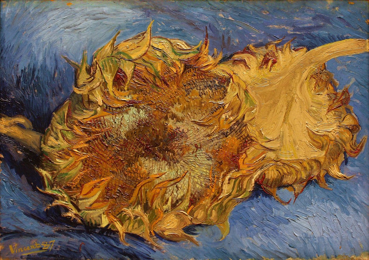 Ayçiçekleri, 1887 by Vincent van Gogh