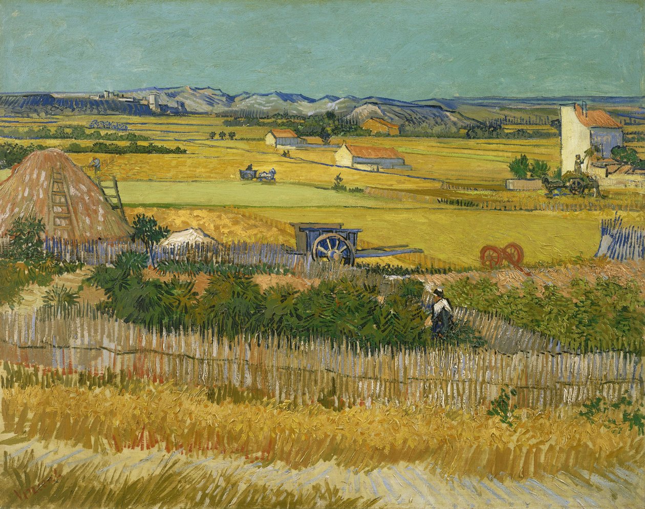 hasat, 1888 by Vincent van Gogh