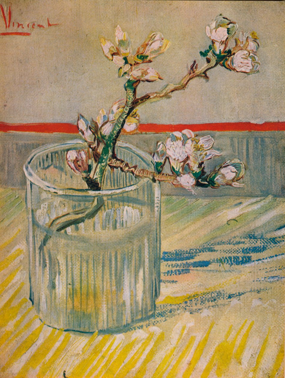 Badem Çiçekli Kök, 1888 by Vincent van Gogh