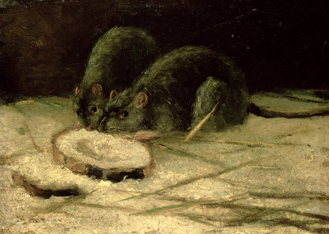 İki Sıçan, c.1884 by Vincent van Gogh