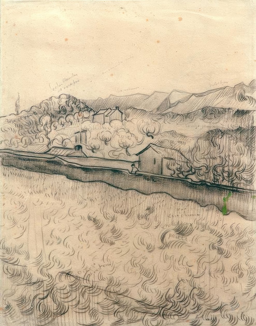 duvarlı alan by Vincent van Gogh