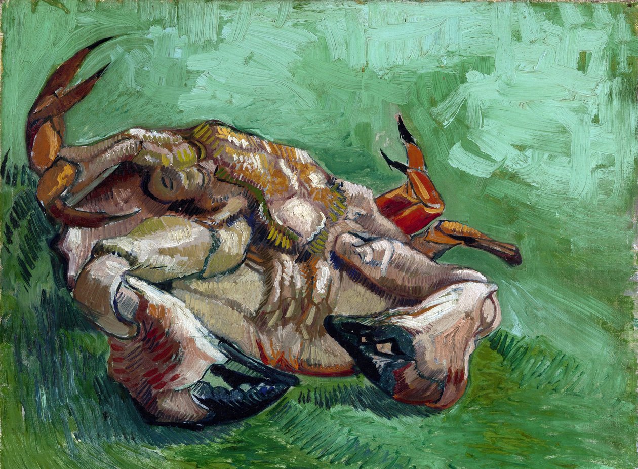 "Sırtında yatan bir yengeç" Tablosu Vincent van Gogh (1853-1890) 1889 Dim 38x46.5 cm Van Gogh Müzesi, Amsterdam by Vincent van Gogh