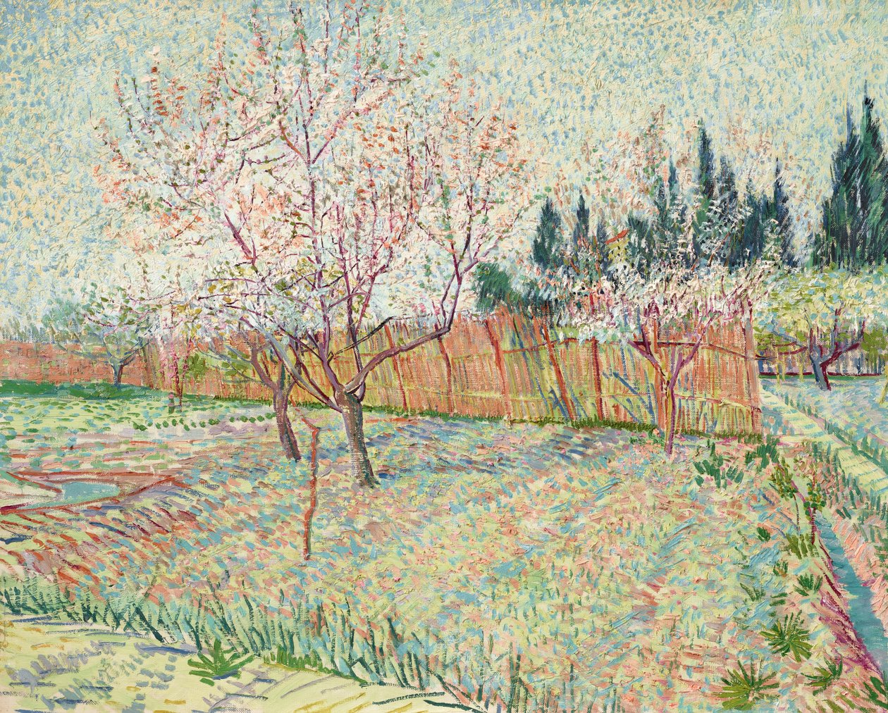 selvi meyve bahçesi by Vincent van Gogh