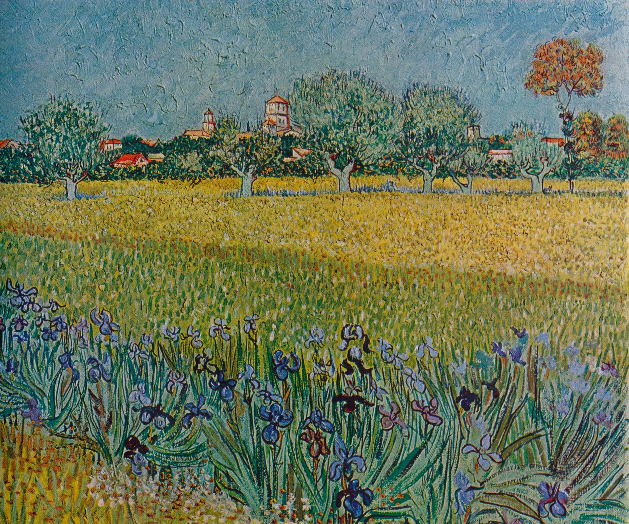 Ales'in Çiçek Açarken Görünüşü, 1888 by Vincent van Gogh