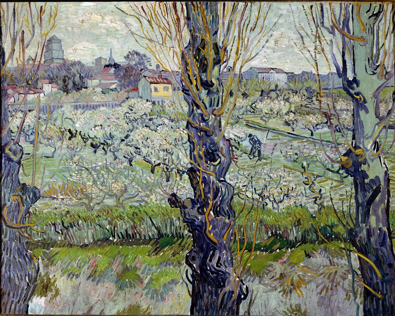 Arles