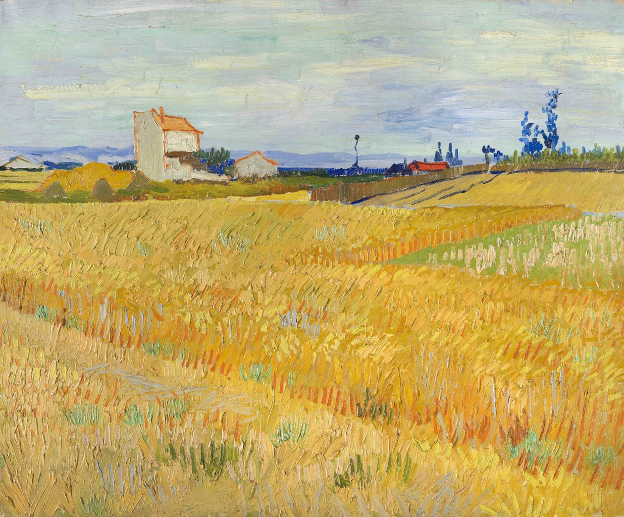 Buğday tarlası by Vincent van Gogh
