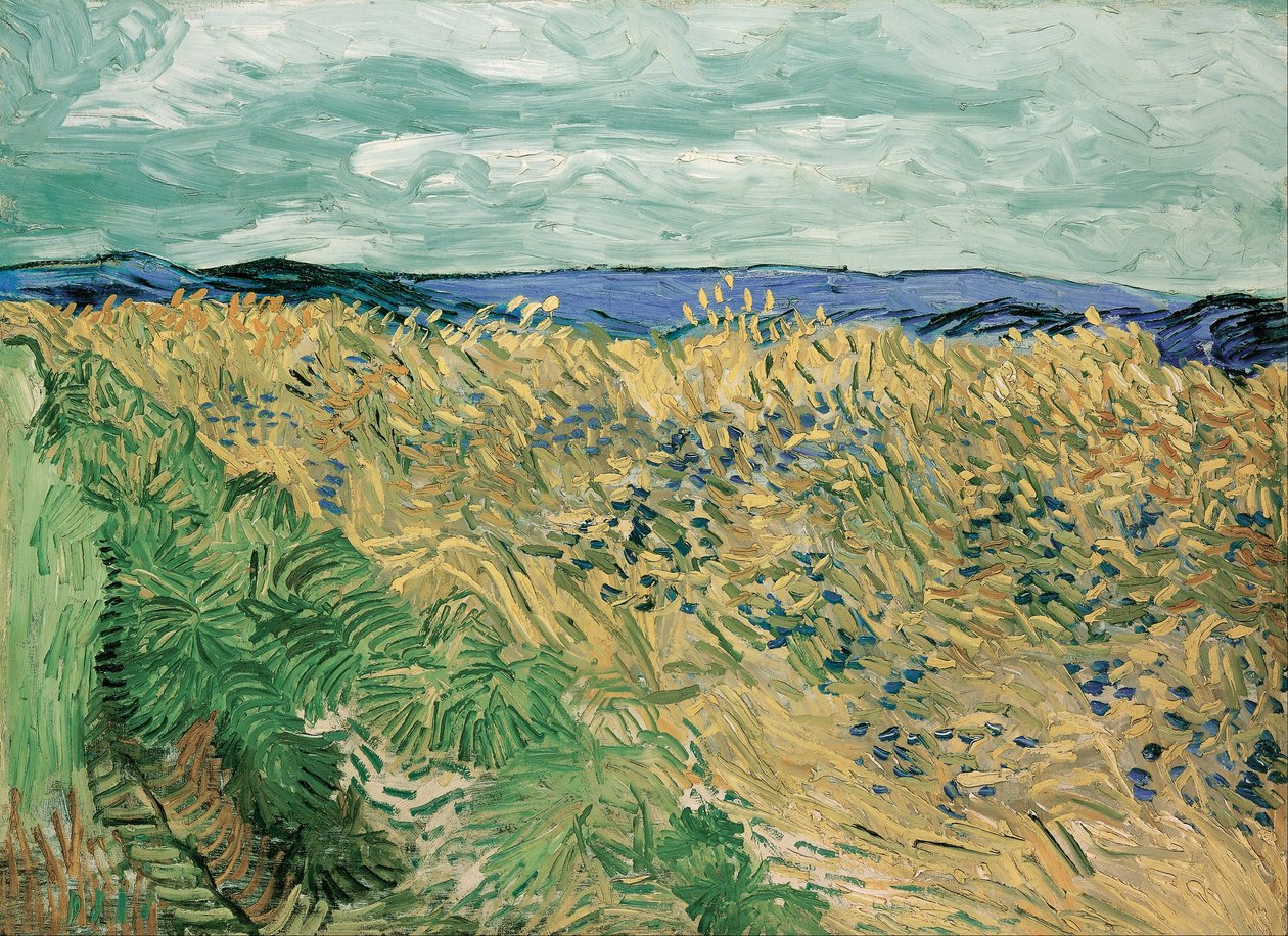 Peygamber Çiçeği ile Buğday Tarlası by Vincent van Gogh