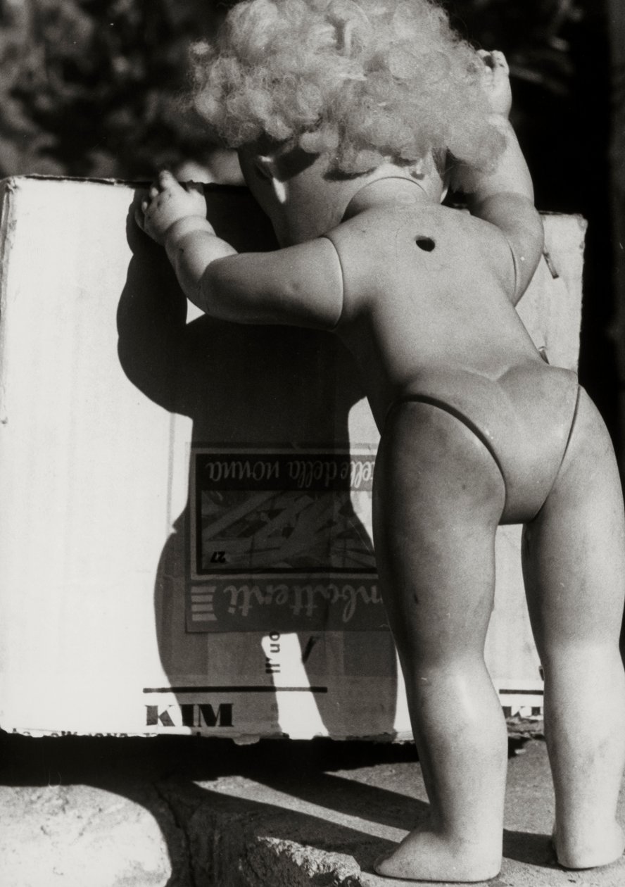  by Vincenzo Balocchi