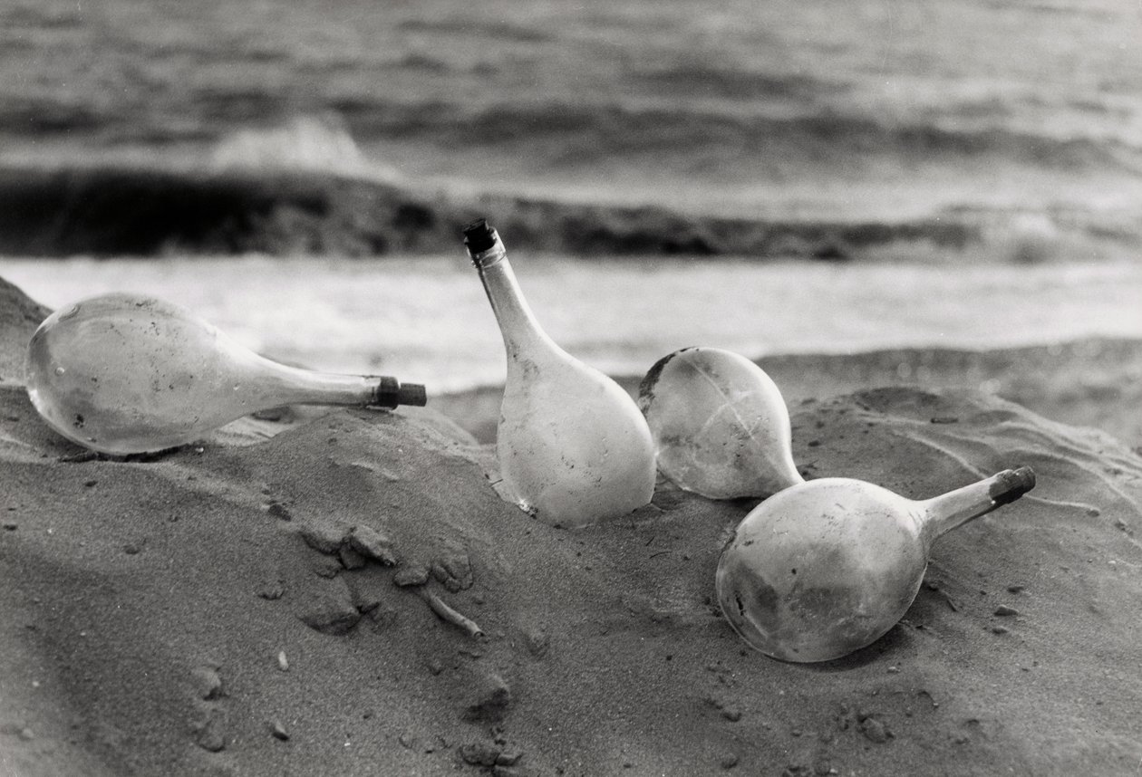  by Vincenzo Balocchi