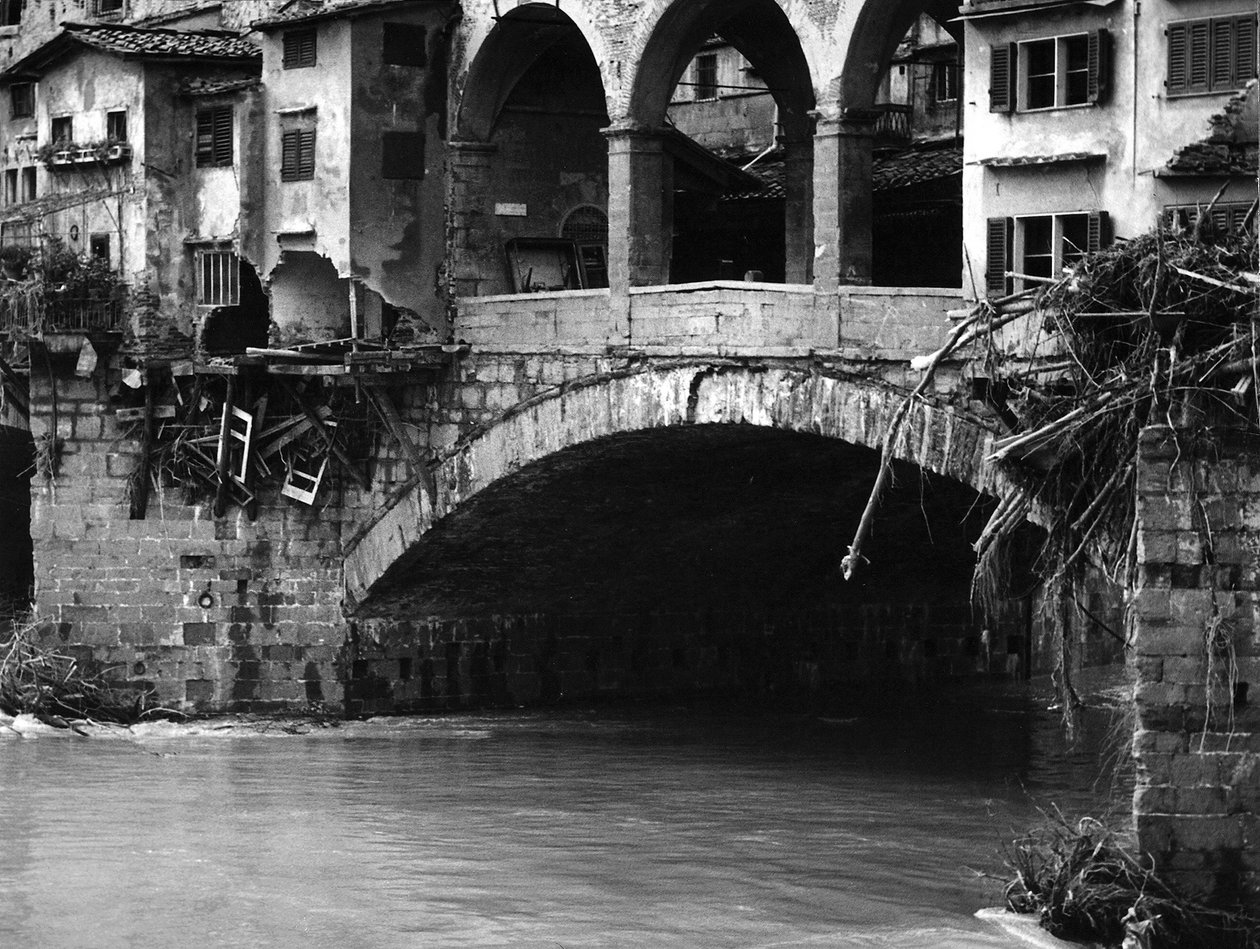  by Vincenzo Balocchi