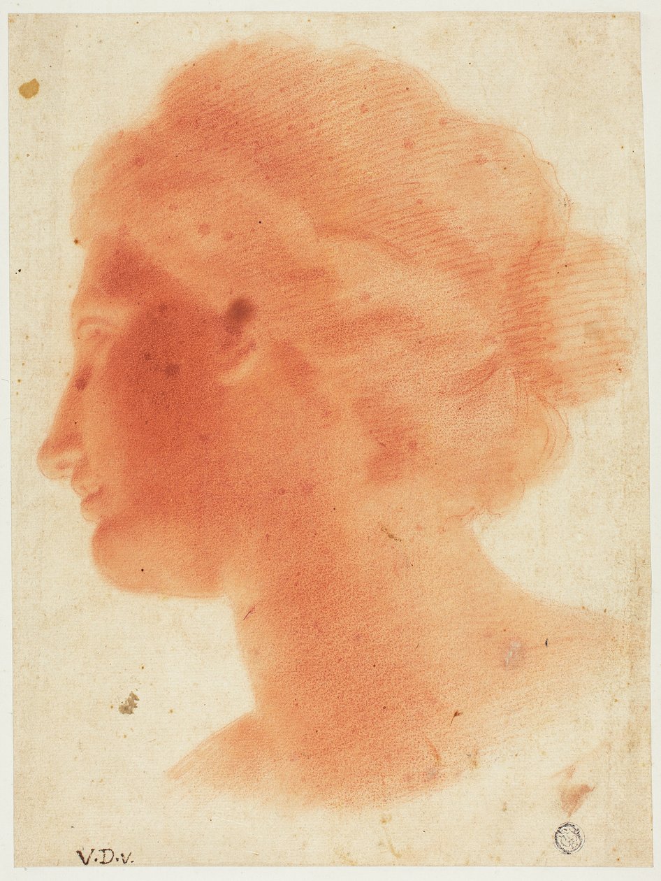  by Vincenzo Dandini