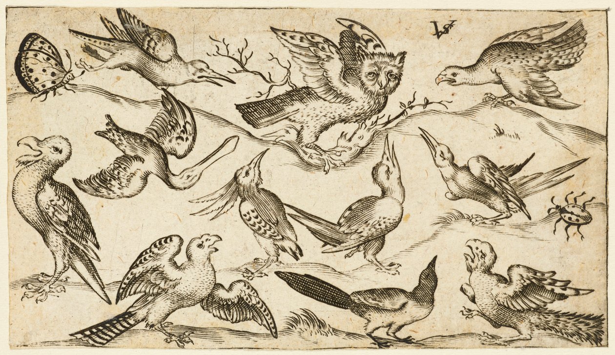 En az yerde on bir kuş ve iki böcek, kanatları açık baykuş..., 1572. by Virgil Solis