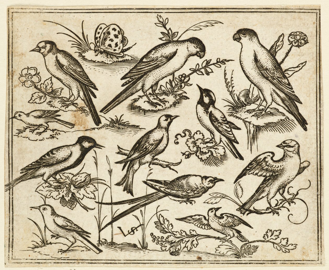 Çiçekli yapraklar ve küçük dallar üzerinde oturan on bir kuş..., 1557. by Virgil Solis