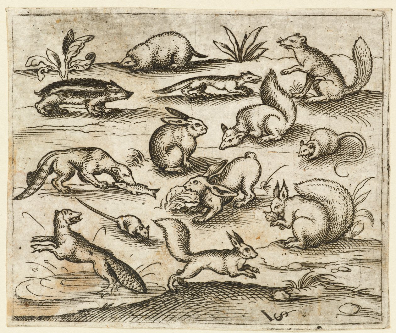 Fare de dahil olmak üzere bir göletin etrafında yemek yiyip koşan küçük orman yaratıkları grubu..., 1557. by Virgil Solis